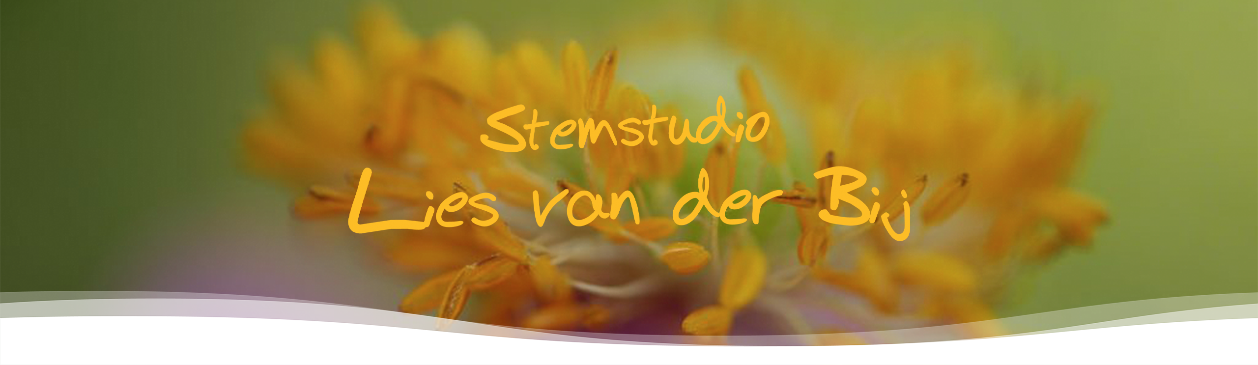 Home titel afbeelding Stemstudio Lies van der Bij